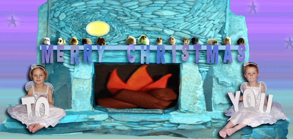 guinea pigs on the mantlepiece squeaking 'merry christmas to you' Esme and Otto by the fire.